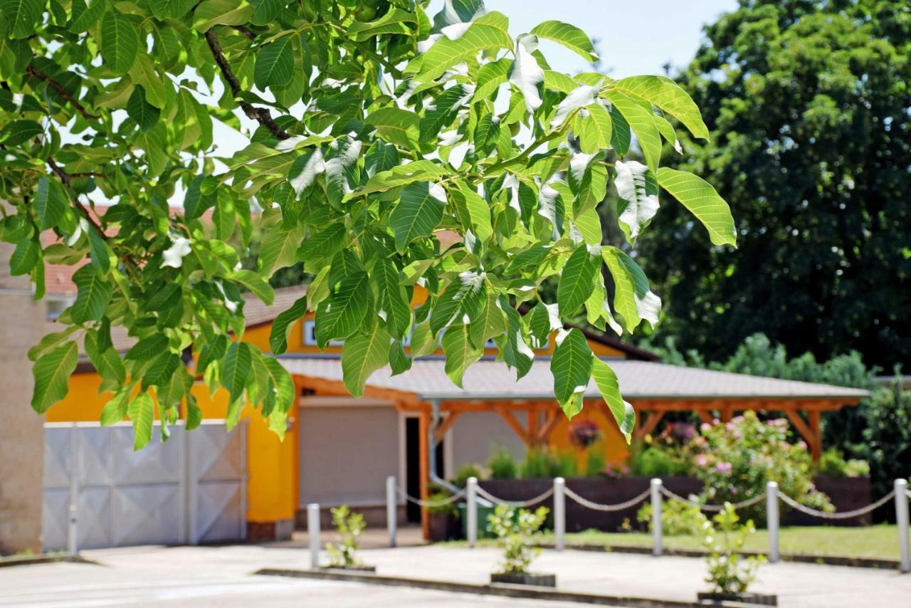 Ferienwohnung/ Ferienzimmer Asche อัสเชิร์สเลเบน ภายนอก รูปภาพ